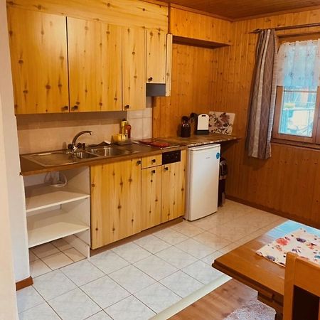 Guenstig Und Einfaches Studio Auf Dem Bauernhof Zuoz Buitenkant foto